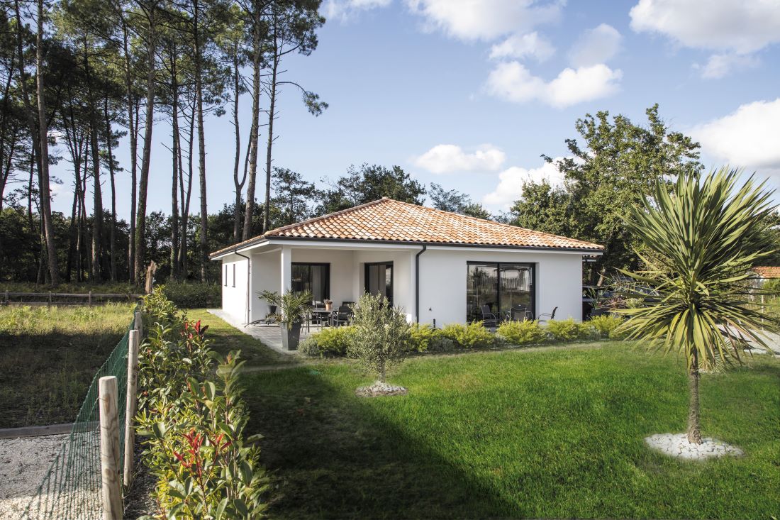 Maison dans les Landes avec des pins et un palmier