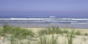 Plage des Landes devant l'océan Atlantique